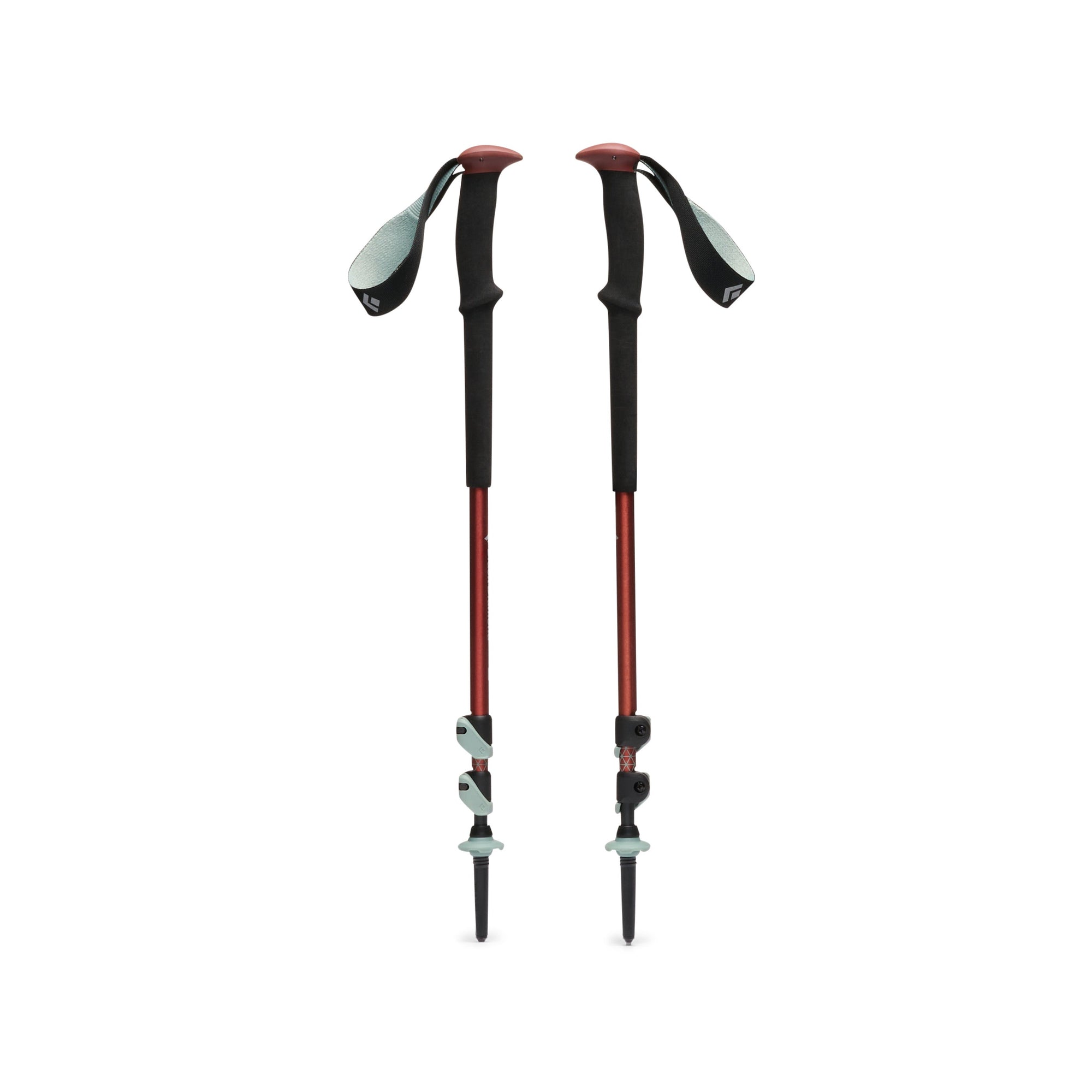 Pair of collapsible trekking poles with foam grips, wrist straps, and carbide tips, front view