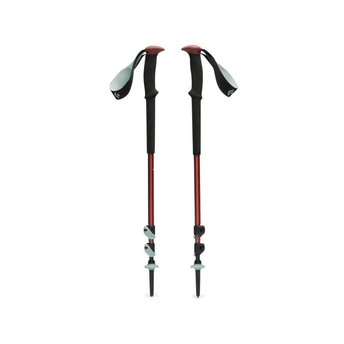 Pair of collapsible trekking poles with foam grips, wrist straps, and carbide tips, front view