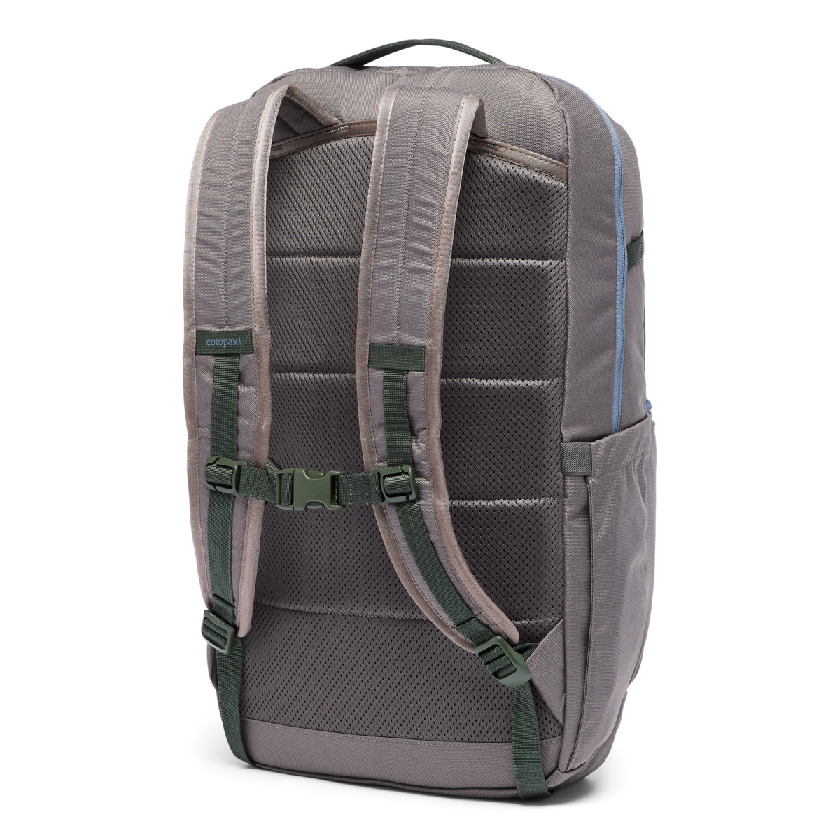 26L backpack rear view showing padded shoulder straps, mesh back panel, and sternum strap