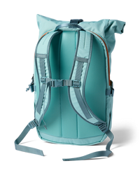 Roll-top daypack rear view showing padded mesh back panel, shoulder straps, and sternum strap