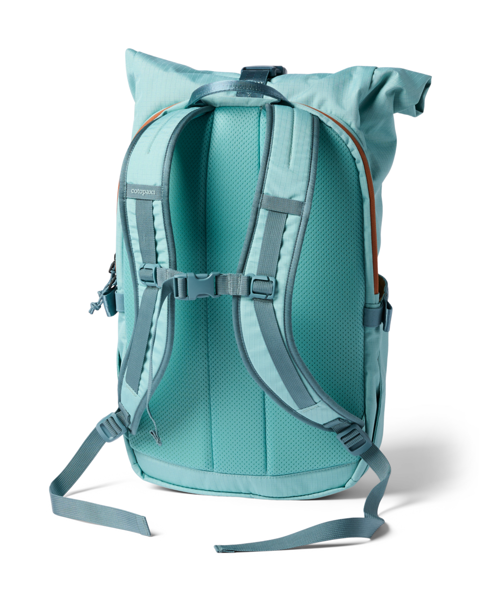 Roll-top daypack rear view showing padded mesh back panel, shoulder straps, and sternum strap