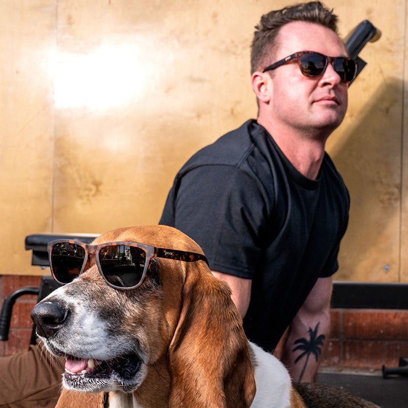 Tortoiseshell sunglasses with dark lenses shown on beagle dog and man in lifestyle setting