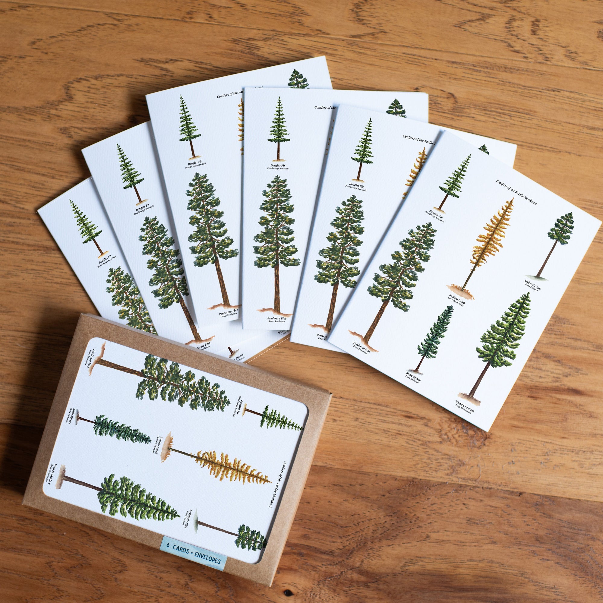 Set of botanical greeting cards featuring various tree species illustrations spread on wooden surface
