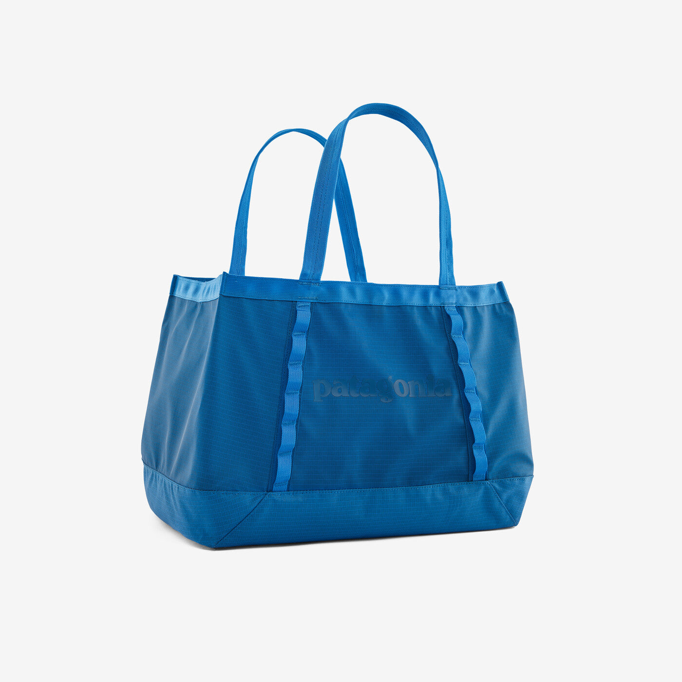 Patagonia Black Hole 25L Tote