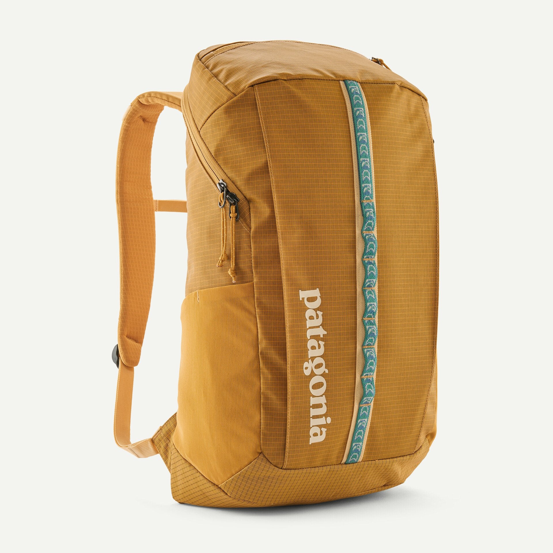 patagonia 25l black hole or 30 l Patagonia Black Hole Pack 25L