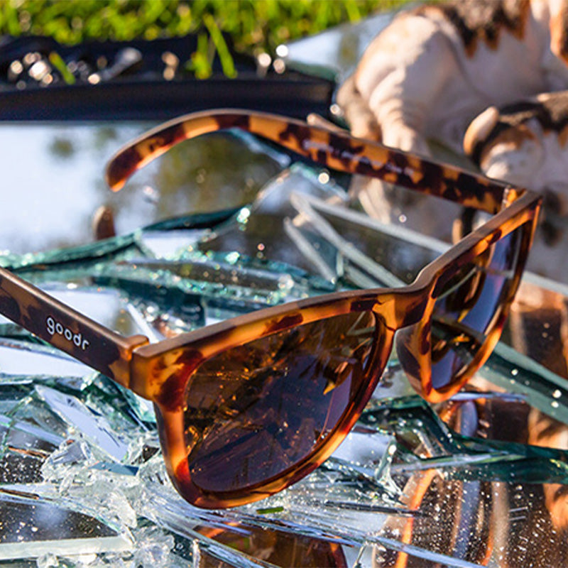 Tortoiseshell sunglasses with amber lenses sitting on crushed ice with water droplets