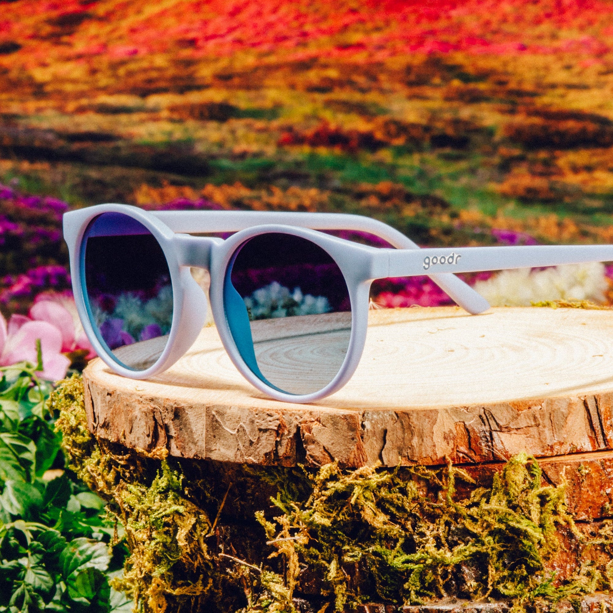 Light purple round-frame sunglasses with dark lenses sitting on wooden surface outdoors