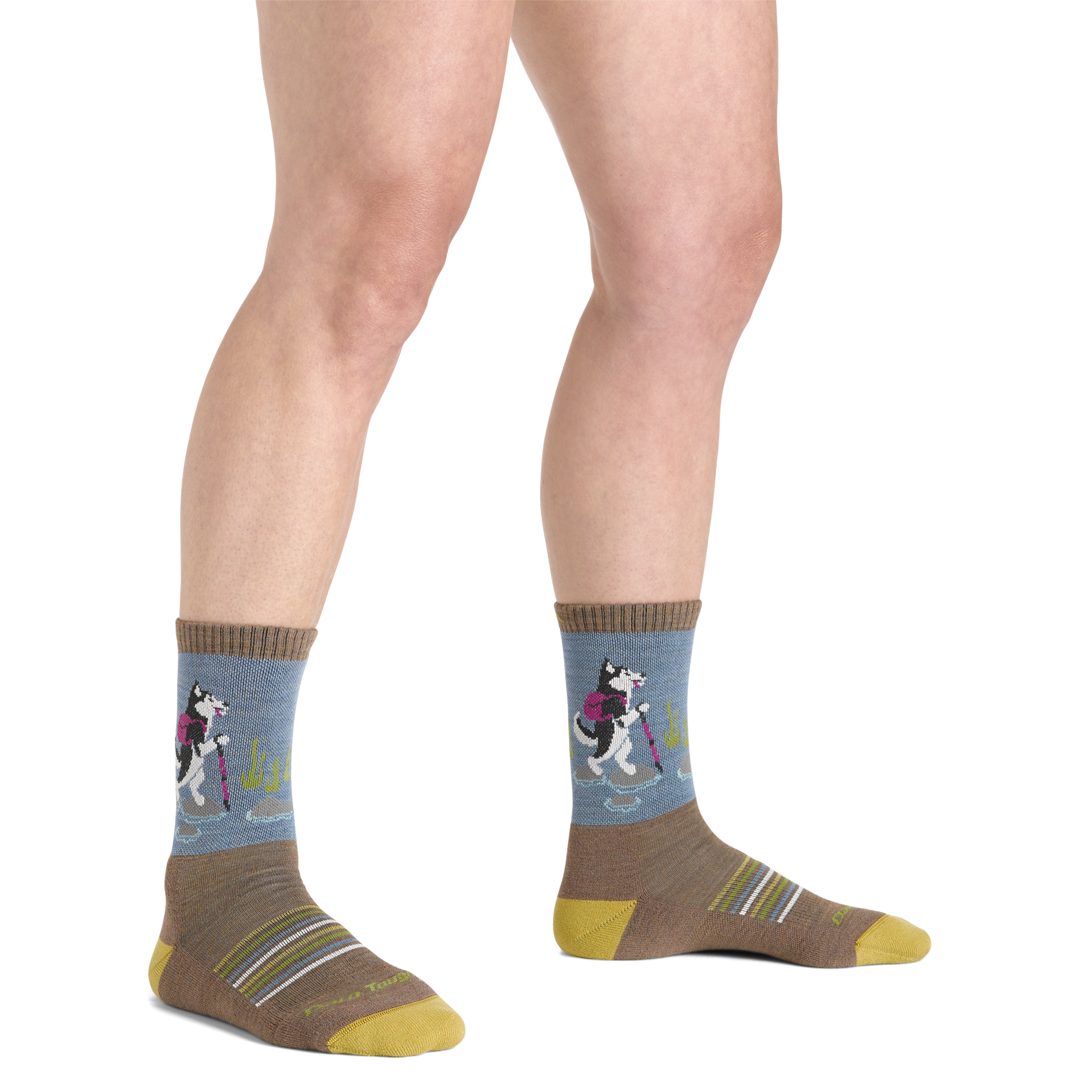 On-model view of crew socks with hiking husky dog pattern on blue cuff and taupe body