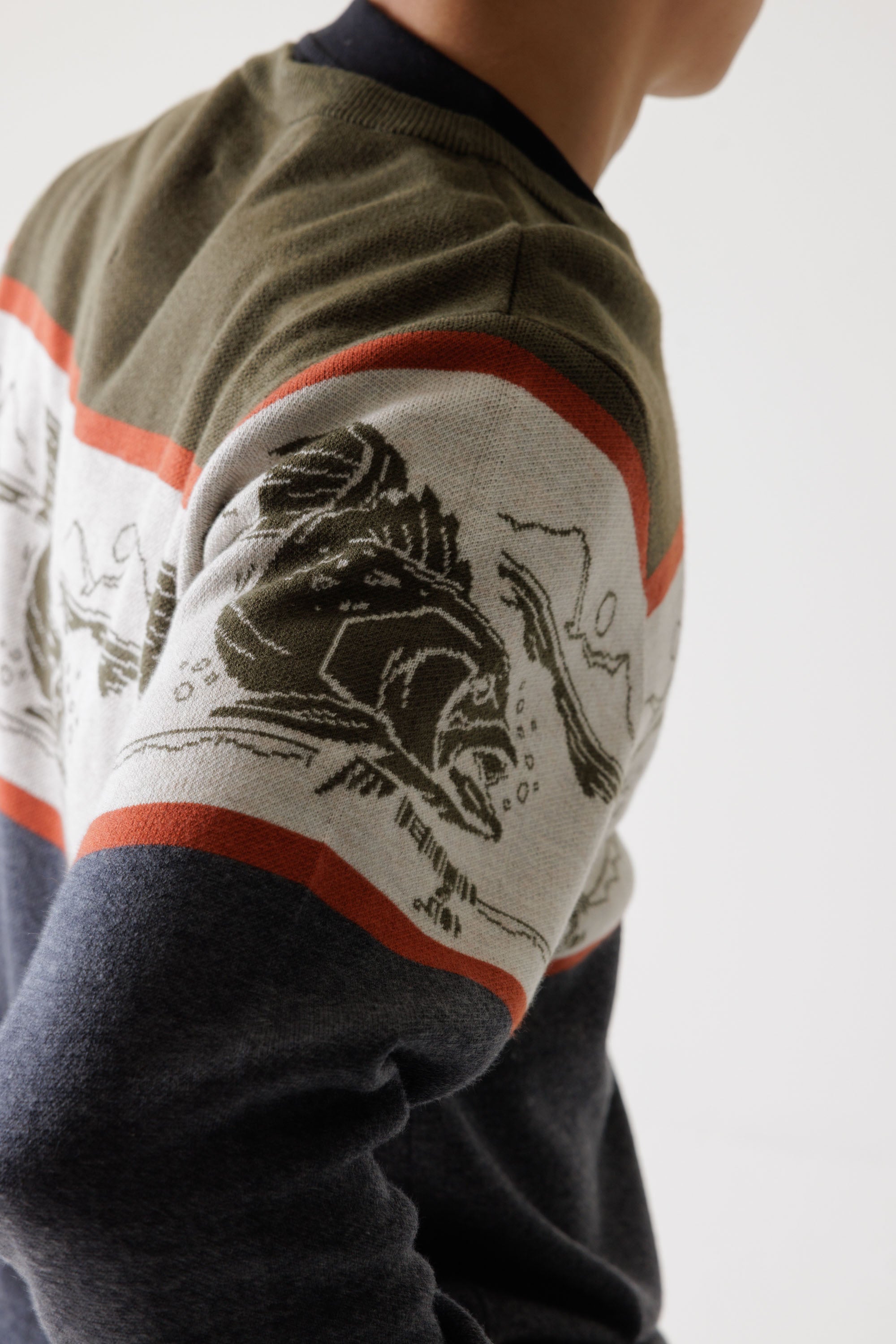 Close-up detail of men's knit sweater sleeve featuring jacquard trout fish graphic with striped color blocking