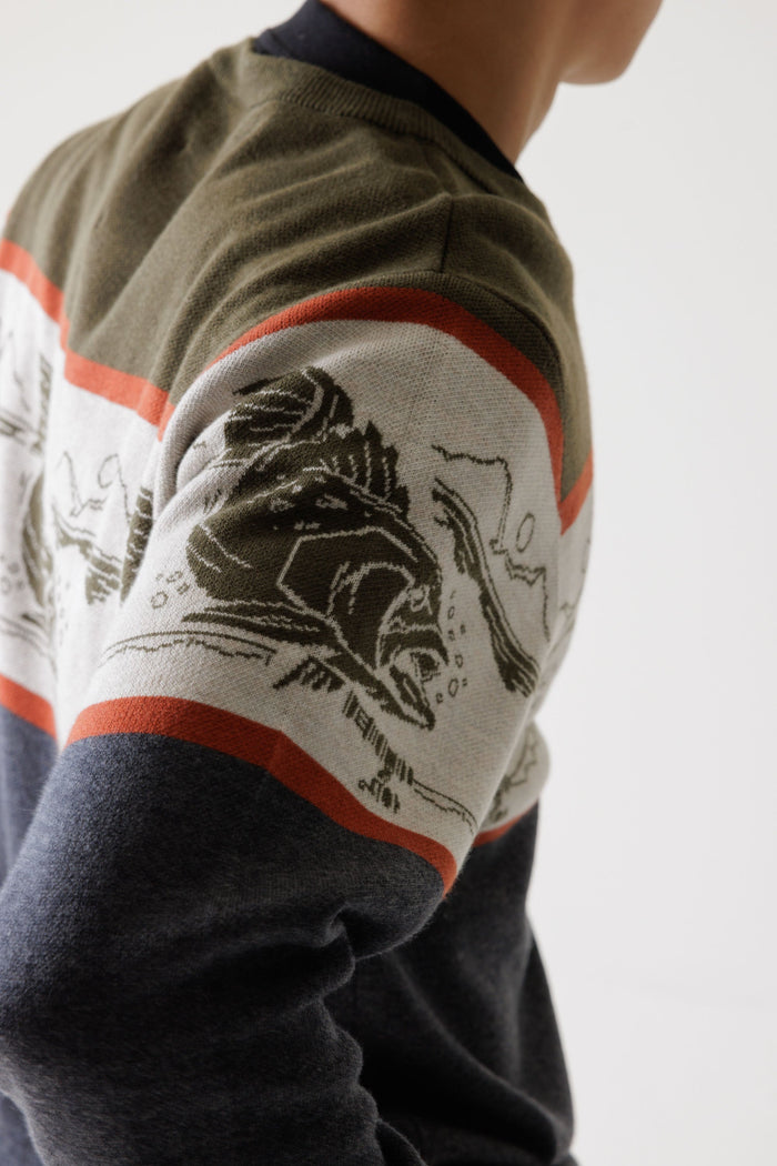 Close-up detail of men's knit sweater sleeve featuring jacquard trout fish graphic with striped color blocking