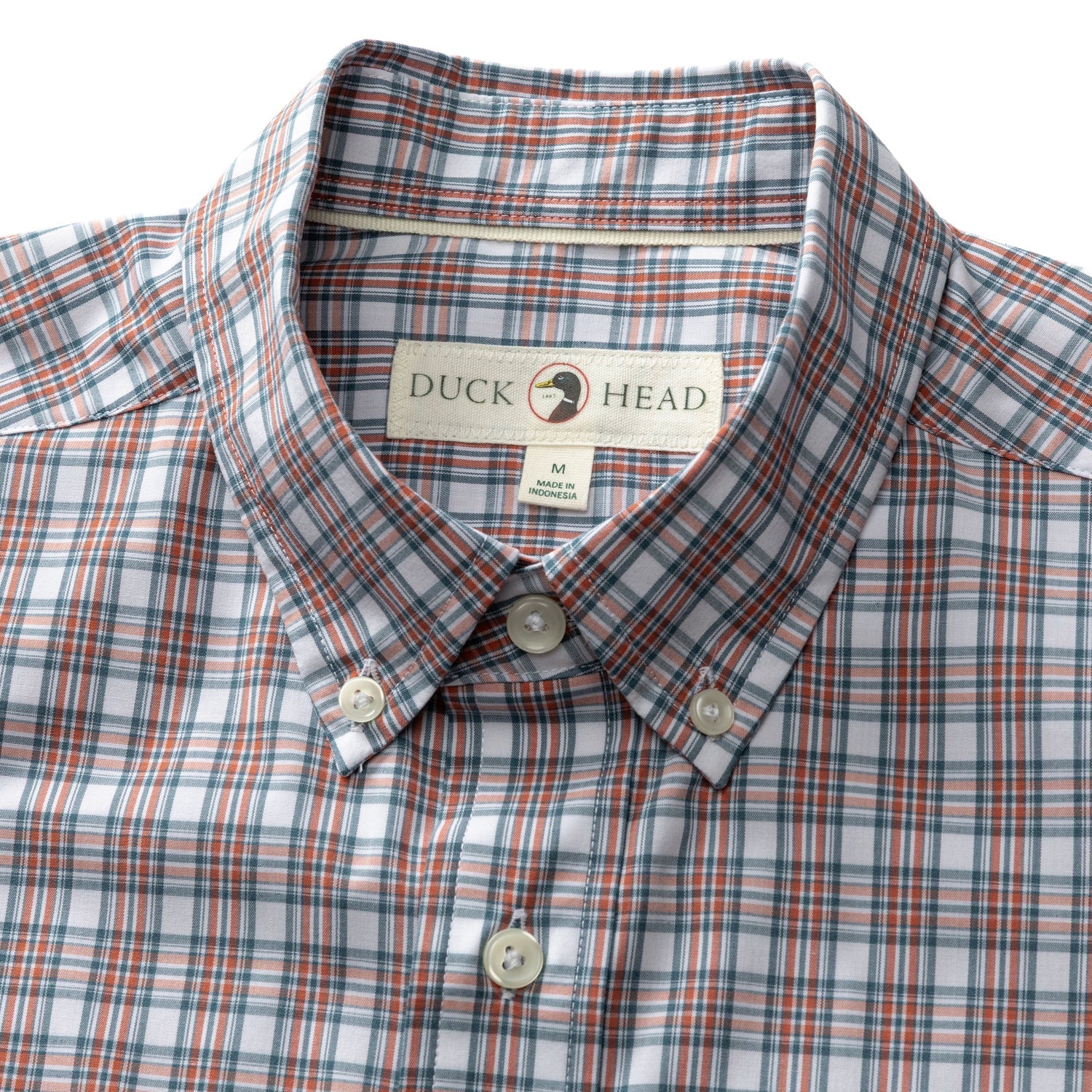 Men's plaid button-down collar shirt, close-up of collar and chest with brand label visible