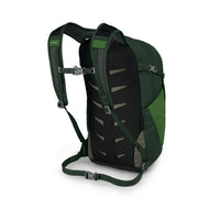 Daypack rear view showing mesh back panel, padded shoulder straps, and sternum strap