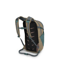 Daypack back view showing padded shoulder straps, mesh back panel, and sternum strap
