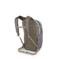 Daypack rear view showing mesh back panel, padded shoulder straps, and sternum strap with buckles