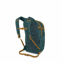 Daypack backpack rear view showing padded mesh back panel, shoulder straps, and tan buckles