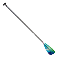 Two-piece stand-up paddle board paddle with colorful aurora-patterned blade on white background