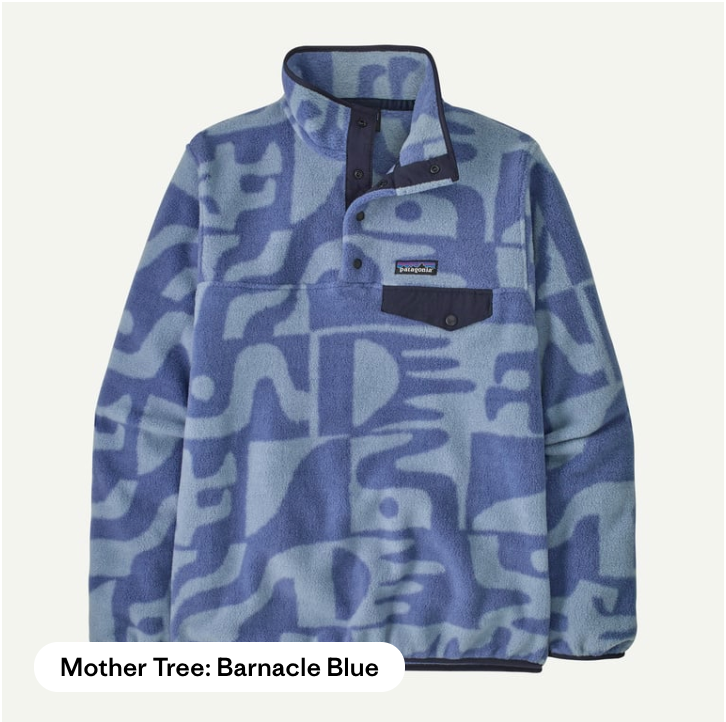 W's Lightweight Synchilla Snap-T Pullover