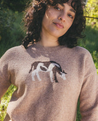 Women's crewneck knit sweater in taupe with intarsia horse graphic, on-model outdoor lifestyle shot