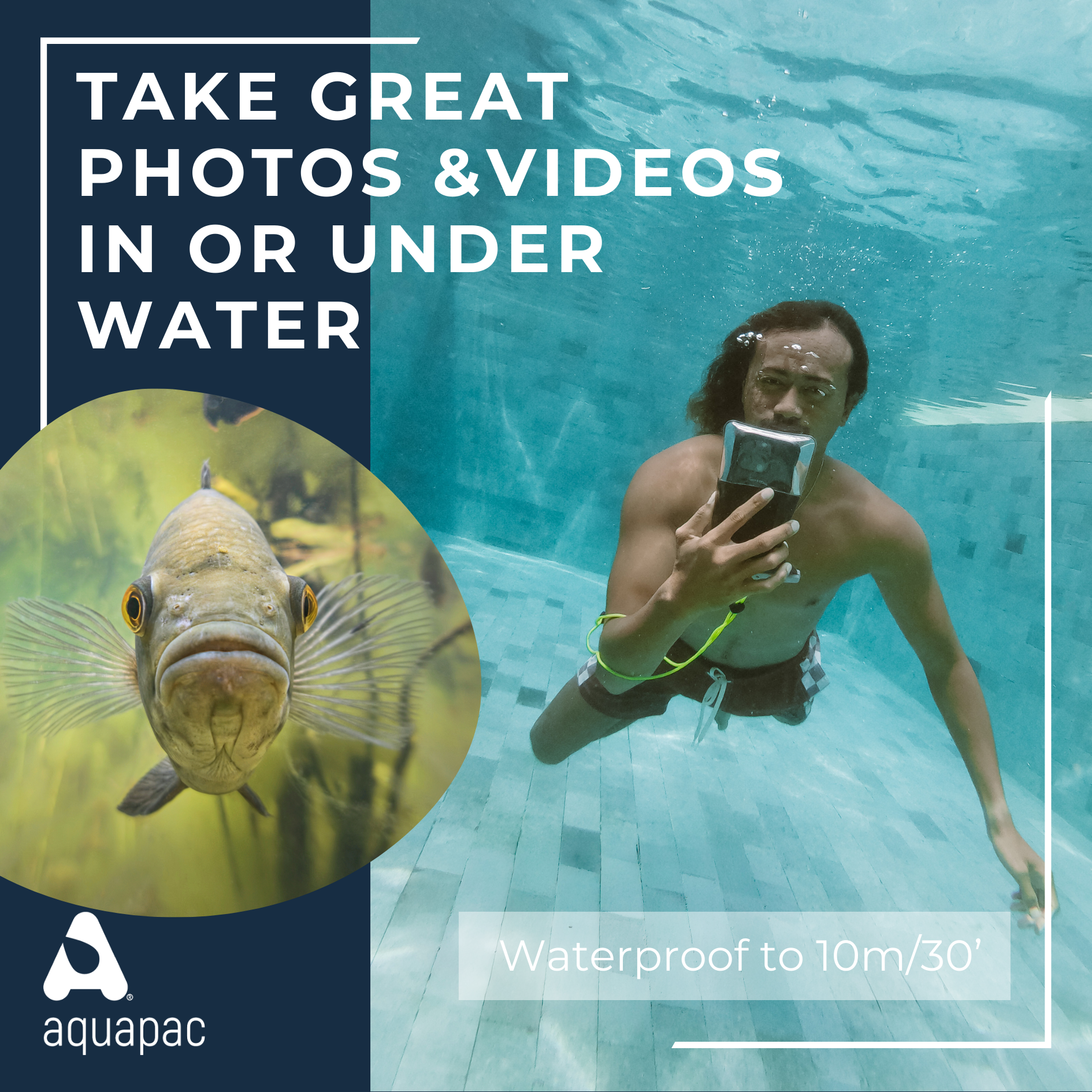 Waterproof phone case being used underwater by swimmer, with fish photo example