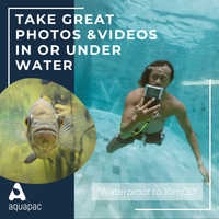 Waterproof phone case being used underwater by swimmer, with fish photo example