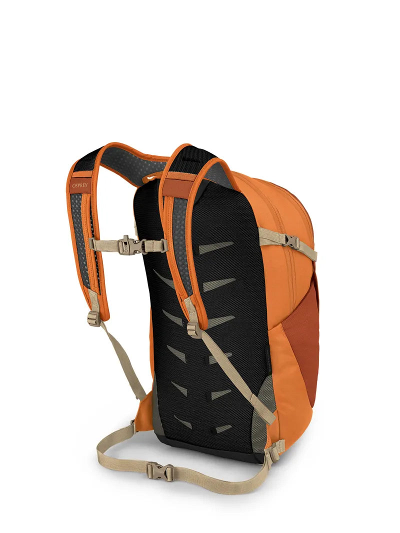 Daypack rear view showing padded mesh back panel, shoulder straps, and sternum strap with side pocket