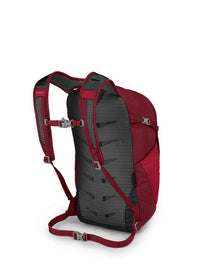 Red daypack backpack rear view showing mesh back panel, shoulder straps, and sternum strap