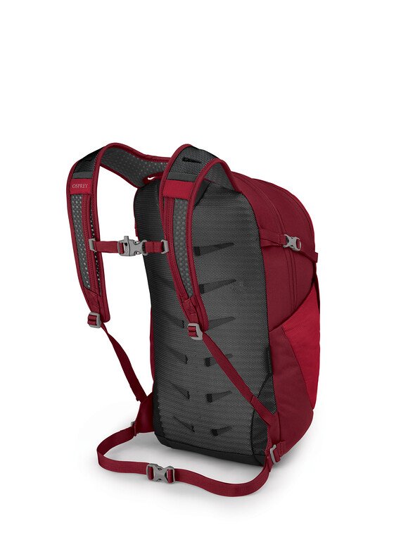 Red daypack backpack rear view showing mesh back panel, shoulder straps, and sternum strap
