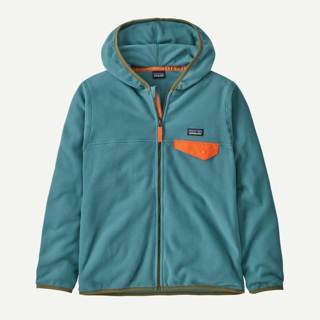 Patagonia Ks Micro D Snap-T Jacket WLDB