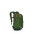 Osprey Daylite Jr. Pack Green Canopy/Green Belt