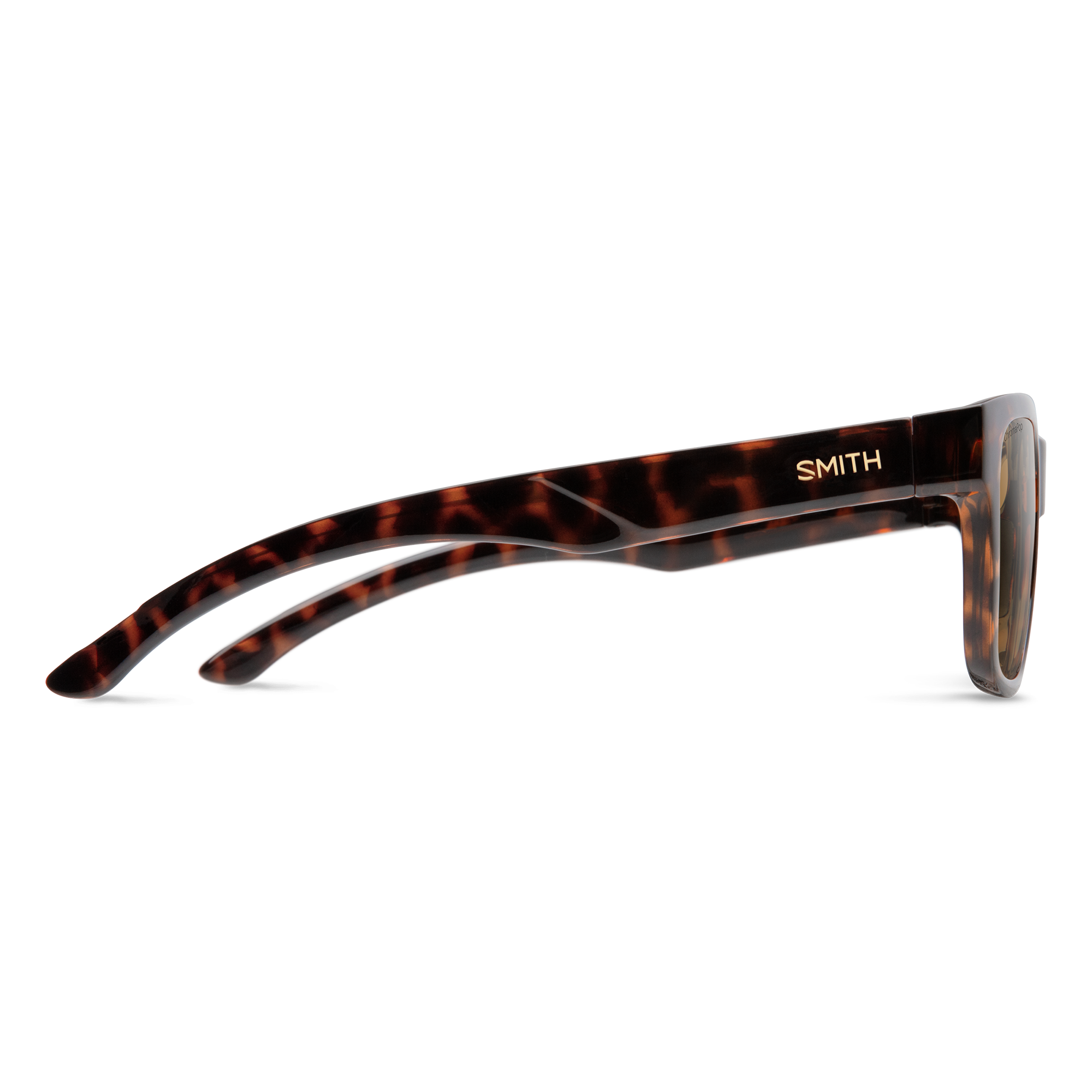 Tortoise shell patterned sunglasses shown from side profile view on white background