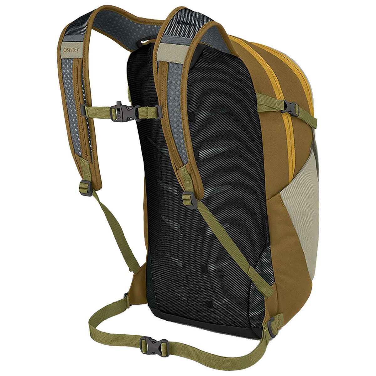 Daypack back view showing mesh back panel, padded shoulder straps, and sternum strap with buckle