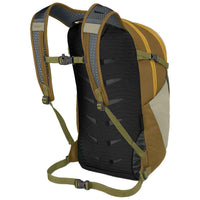 Daypack back view showing mesh back panel, padded shoulder straps, and sternum strap with buckle