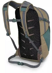Daypack rear view showing mesh back panel, padded shoulder straps, and sternum strap