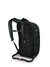 Daypack backpack rear view showing padded straps, mesh back panel, and sternum strap