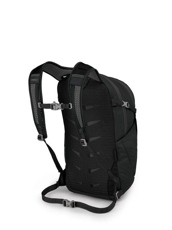 Daypack backpack rear view showing padded straps, mesh back panel, and sternum strap