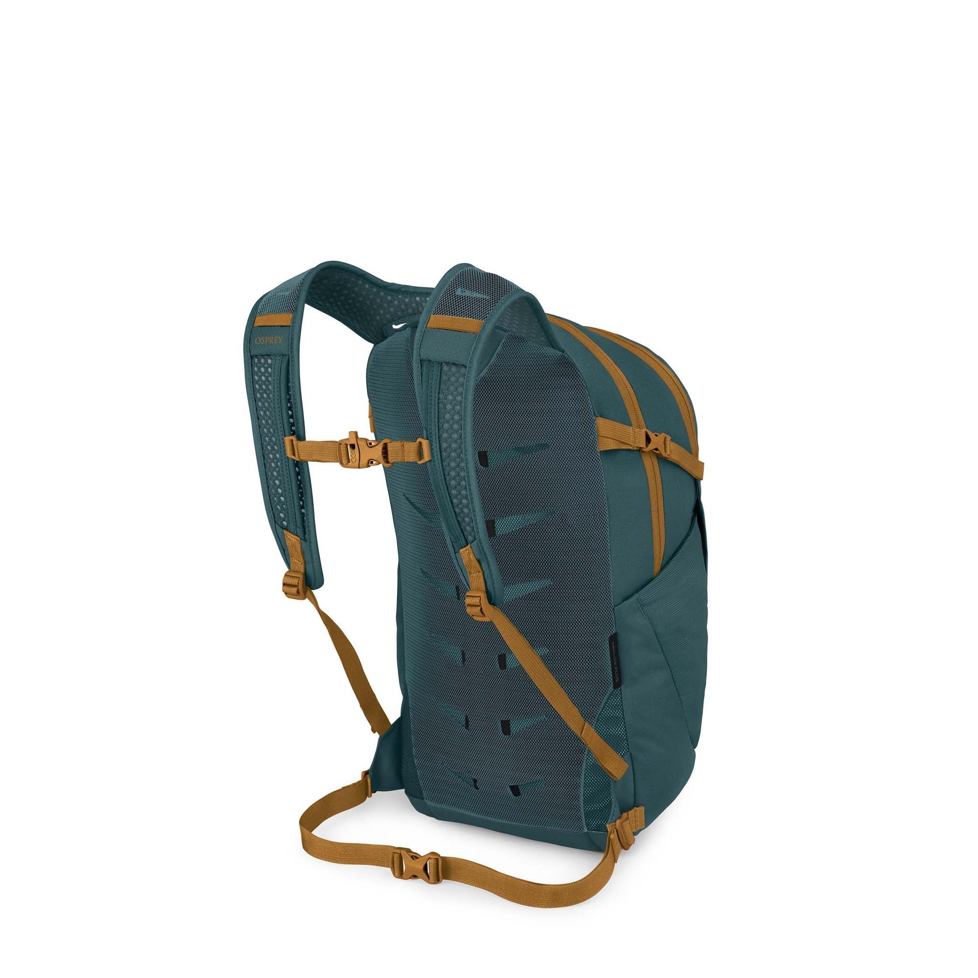 Backpack rear view showing padded mesh back panel, shoulder straps, and tan buckles