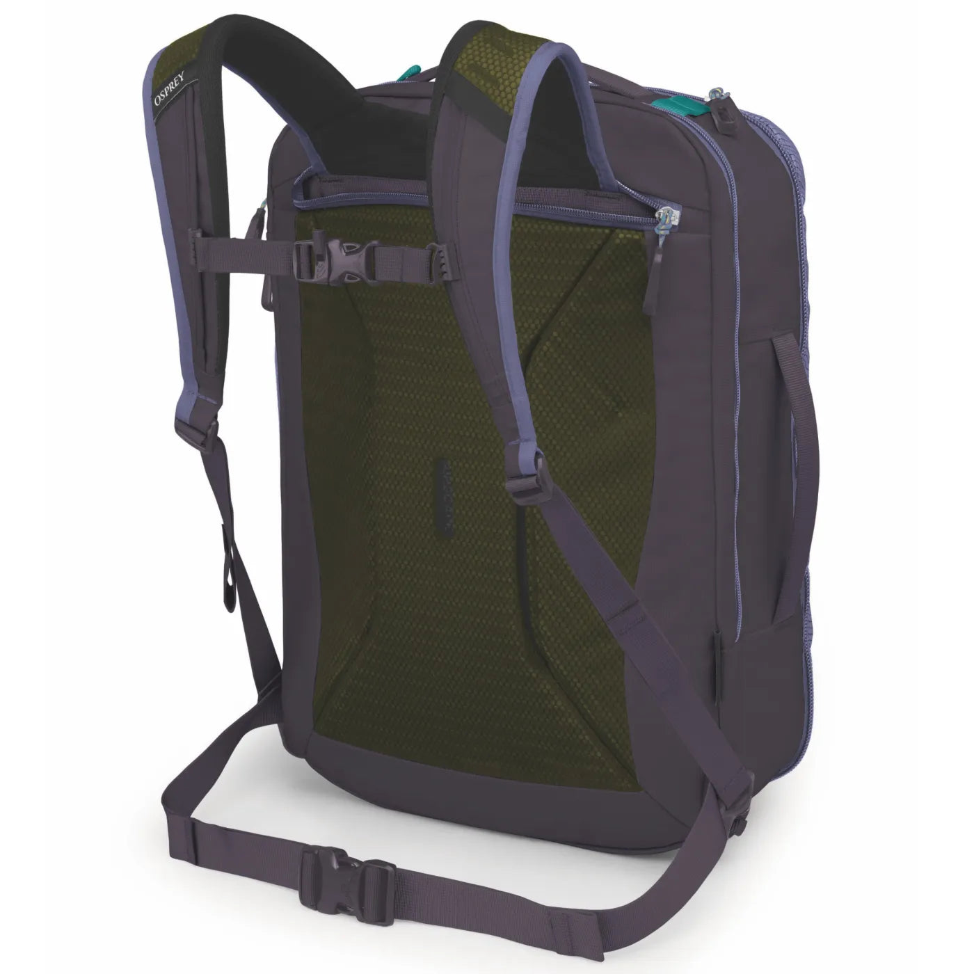 Large travel backpack rear view showing mesh back panel, shoulder straps, and hip belt