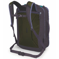 Large travel backpack rear view showing mesh back panel, shoulder straps, and hip belt