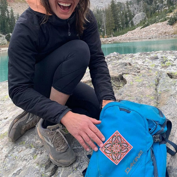 NoSo Paisley Pods Patch