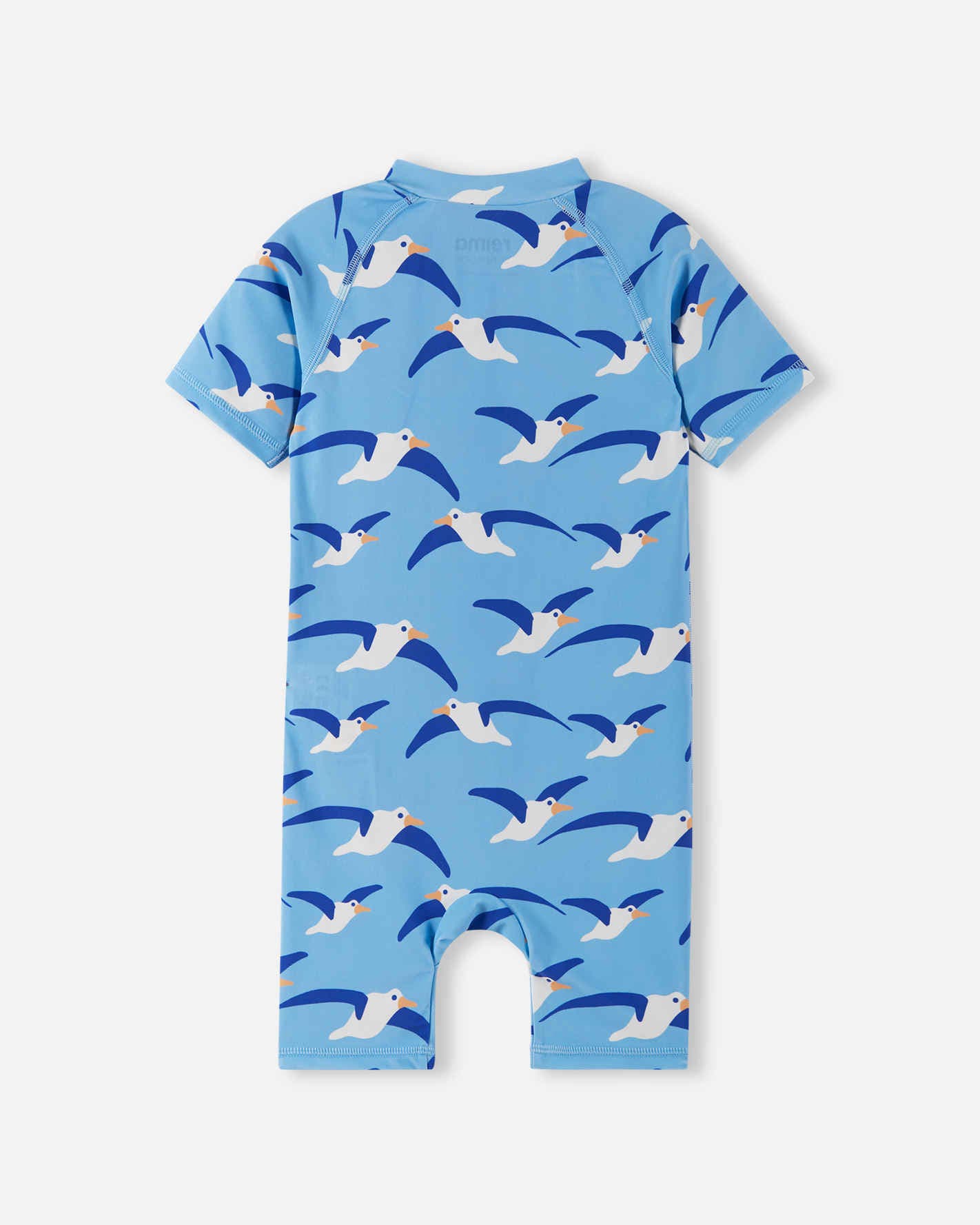 Baby sunsuit back view, short-sleeve one-piece with all-over seagull print on blue background